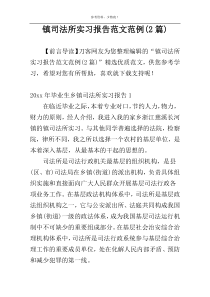 镇司法所实习报告范文范例(2篇)