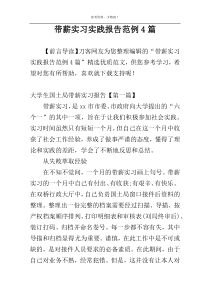 带薪实习实践报告范例4篇