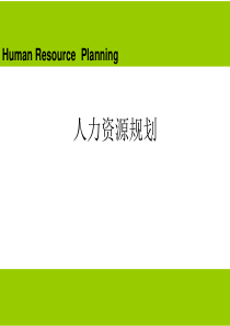 HR开发与管理实务 第三章人力资源规划