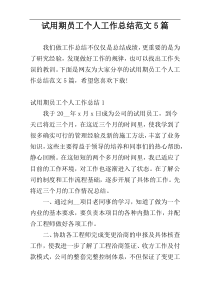 试用期员工个人工作总结范文5篇