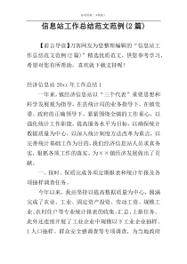 信息站工作总结范文范例(2篇)