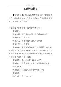 理解调查报告