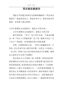 项目部实践报告