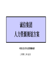 XX集团人力资源规划方案（PPT 91页）(1)