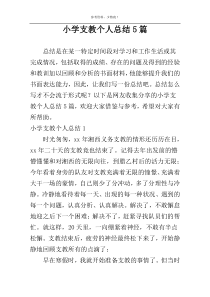 小学支教个人总结5篇