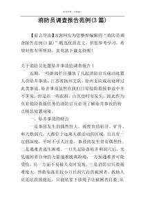 消防员调查报告范例(3篇)