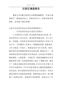 石家庄调查报告