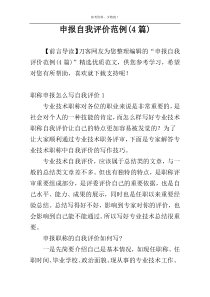 申报自我评价范例(4篇)