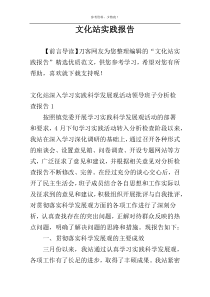 文化站实践报告