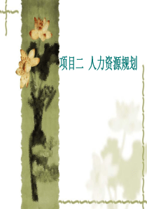 二人力资源规划