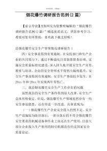 烟花爆竹调研报告范例(2篇)