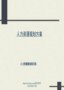 人力规划