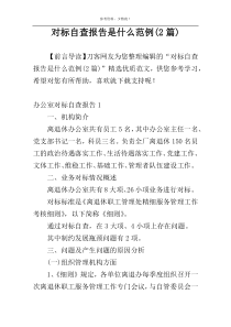 对标自查报告是什么范例(2篇)