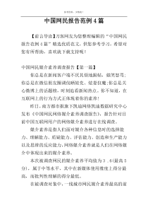 中国网民报告范例4篇