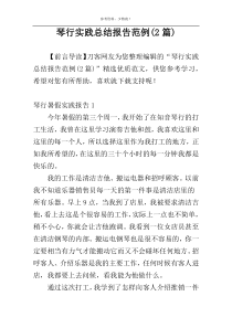 琴行实践总结报告范例(2篇)