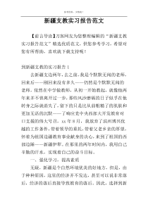 新疆支教实习报告范文