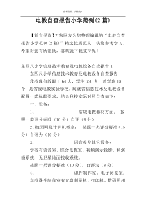 电教自查报告小学范例(2篇)