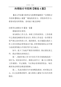 向领检讨书范例【精选4篇】
