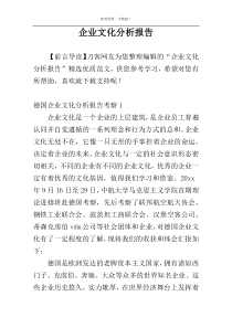 企业文化分析报告