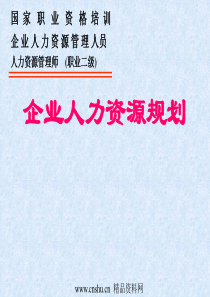 人力资源管理师-企业人力资源规划(ppt44页)