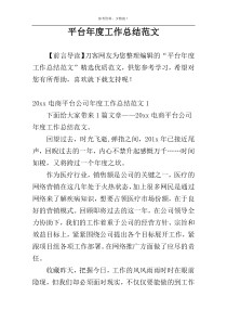 平台年度工作总结范文