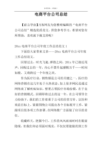 电商平台公司总结