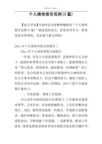 个人绩效报告范例(3篇)