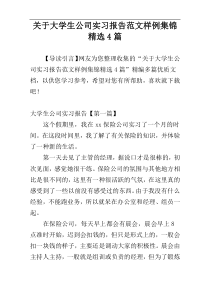 关于大学生公司实习报告范文样例集锦精选4篇