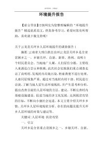 环境提升报告
