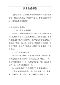 技术业务报告