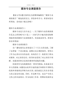 媒体专业调查报告