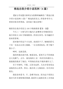 推选自我介绍小说范例（4篇）