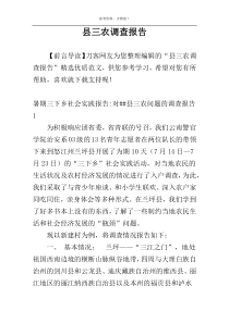 县三农调查报告