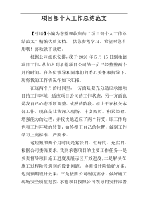 项目部个人工作总结范文