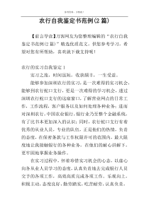 农行自我鉴定书范例(2篇)