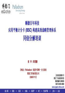 某大公司平衡计分卡培训(presentation)_0811