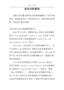 安全分析报告