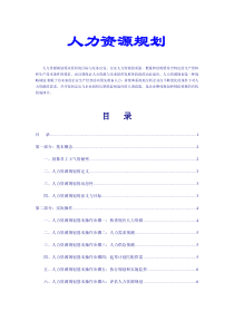 人力资源规划概念