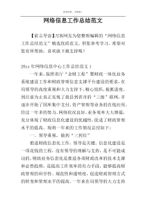 网络信息工作总结范文