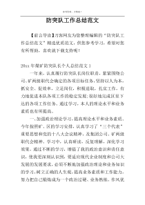 防突队工作总结范文