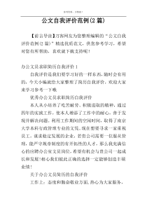 公文自我评价范例(2篇)
