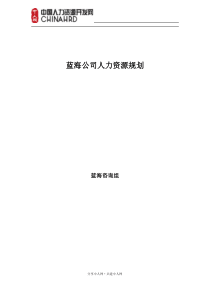 某大型公司人力资源规划模板