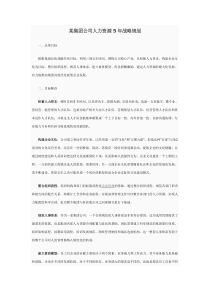 某集团人力资源五年规划