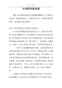 计划科年度总结