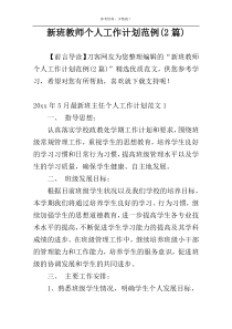 新班教师个人工作计划范例(2篇)
