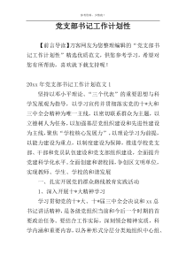 党支部书记工作计划性