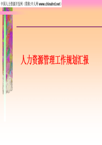 著名公司人力资源管理规划方案