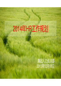 集团人力资源部XXXX年HR工作规划