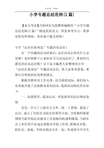 小学专题总结范例(2篇)