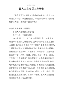 镇人大主席团工作计划